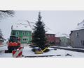 Bild: gi
Mitten in der zugeschneiten Baustelle sorgt der Weihnachtsbaum für das adventliche Grün.