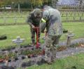 Bild: Bundeswehr LogBtl 472/exb
Soldaten aus der Kaserne in Gärmersdorf pflanzten in Belgien 28 000 Pflanzen.