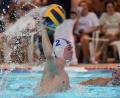 Bild: Büttner
Paul Winter (am Ball) war einer der Youngster, die sich bei den Wasserballern des SV Weiden gegen Frankfurt ins Rampenlicht spielten.