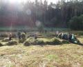 Bild: Thomas Obendorfer/exb
Feuchtwiesenbiotope zu pflegen ist fester Bestandteil der Ausbildung bei den angehenden Landwirten und Forstwirten der Berufsschule in Neunburg vorm Wald.