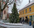 Bild: Helmut Gollwitzer/OWV
Alle Jahre wieder: Der OWV Waldthurn stellt den "Christbaum für alle" auf dem Marktplatz auf