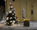 Bild: Josef Glas
Vorweihnachtliche Stimmung – hier noch mit Schnee – verbreiten Christbaum und Krippe vor der Pfarrkirche in Tännesberg.