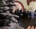 Bild: Stadt Marktredwitz/exb
Die Marktredwitzer Blasmusik spielte vor dem Historischen Rathaus traditionelle Weihnachtslieder.