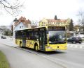 Archivbild: Petra Hartl
2023 musste der Zweckverband Nahverkehr Amberg-Sulzbach zahlreiche Citybus-Fahrten streichen. Die Gründe: Personalmangel und Krankheitsfälle.