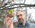 Bild: Gabi Schönberger
Christian Kraus nascht eine Mispel in seinem Garten in Grafenwöhr. Den Strauch hat er vor zehn Jahren gepflanzt. Das Obst verarbeitet er gern zu Mus.