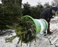 Archivbild: Petra Hartl
Für den Bund Naturschutz sollte nicht jeder x-beliebige Tannenbaum ins Transportnetz. Am besten wären ökologisch erzeugte Christbäume von zertifizierten Anbietern.