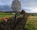 Bild: Armin Hofbauer/exb
Die Landwirtschaftsschüler pflanzten verschiedene Wildrosenarten, Schlehen und Kornelkirschen in drei Reihen mit einem Abstand von eineinhalb Metern.