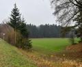 Bild: Petra Hartl
Vor gut 20 Jahren zerschlugen sich die Pläne des ADAC, im Birgland ein Fahrsicherheitszentrum zu errichten. Seitdem ist es still geworden um die als Sondergebiet ausgewiesene Fläche an der A6 und der Staatsstraße 2164.