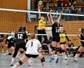 Bild: Hubert Ziegler
Lisa Großmann (Mitte) vom SV Hahnbach kann in dieser Szene den Ball gefühlvoll über das Netz in die gegnerische Hälfte befördern, beobachtet von Lisa Petermeier und Celine Schüll (von links) sowie Kapitänin Julia Polito (rechts). Der SV Hahnbach siegte mit 3.1.