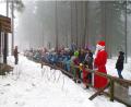 Archivbild: Wildpark Mehlmeisel/exb
Im Wildpark steht wieder die Tierweihnacht an.