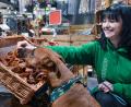 Bild: Stephan Huber
Was schenken Menschen ihren Tieren zu Weihnachten? Fressnapf-Hund Bailey schnüffelt sich durch das Geschäft für Heimtierbedarf. Im Bild mit Mitarbeiterin Juliane Schöberl.