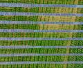Bild: Armin Weigel/dpa
Unternehmer Andreas Mark will eine Agri-Photovoltaikanlage bei Ellenfeld bauen. In der Novembersitzung lehnte der Bärnauer Stadtrat den Bauantrag für eine Agri-Photovoltaik-Anlage trotz Privilegierung erneut ab. Laut Landratsamt ist der Grund für die Ablehnung rechtlich nicht haltbar.