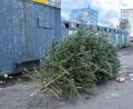 Bild: Stephan Huber
"Alle Jahre wieder", auch diesmal, in der Merianstraße in Amberg: Ausgediente Christbäume werden einfach auf dem Containerstandort abgelegt: Das ist verboten.