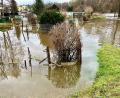 Bild: Gabi Schönberger
Bei der Adolf-Kolping-Straße in Neustadt/WN reicht das Hochwasser am Mittwoch bis in einige Gärten hinein.