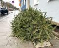 Bild: Gabi Schönberger
Ab 8. Januar werden in Weiden die ausgedienten Christbäume eingesammelt. Die Stadt bittet die Bürger, die Bäume ab 6.30 Uhr gut sichtbar an den Straßenrändern oder Gehwegen abzulegen.