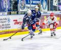 Bild: Tobias Neubert
David Elsner (links) fehlt den Blue Devils Weiden in den nächsten drei Partien.