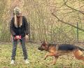 Bild: Susanne Schwab
Die 13-jährige Annalena Schmidt mit ihrem zwei Jahre alten Schäferhund Raija. Sie kommt extra jedes Wochenende von Kempten nach Amberg, um mit dem Tier Agilitytraining zu absolvieren.