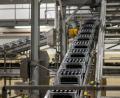 Symbolbild: David Inderlied/dpa
Vier Mitarbeiter einer bayerischen Brauerei sollen, so der Vorwurf der Staatsanwaltschaft, über Jahre Bier im Wert von 100.000 Euro gestohlen haben.