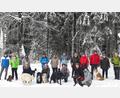 Archivbild: gis
Die Wanderung mit Hunden, organisiert vom Fichtelgebirgsverein Mehlmeisel, ist ein beliebter Programmpunkt der Winterwandertage.