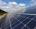 Bild: Patrick Pleul
Die Stadt Vohenstrauß plant zwei weitere Solarparks an der Autobahn A6. Mit 47 Hektar Fläche wird der "Solarpark Vohenstrauß II" im Bereich zwischen Straßenhäuser und Wiegenhof die bislang größte Anlage der Großgemeinde.