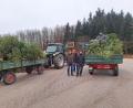 Bild: Ziegelmeier/exb
Rund 120 Bäume sammeln die Mitglieder des Obst- und Gartenbauvereins Wolfring in Freihöls, Wolfringmühle und Wolfring ein.