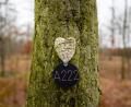 Symbolbild: Robert Michael/dpa
Der Anteil von Baumbestattungen stieg in den vergangenen Jahren kontinuierlich. Der Tirschenreuther Bauausschuss beschloss, diese Form der Bestattung auf dem städtischen Friedhof bis auf Weiteres nicht zuzulassen.