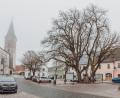 Bild: Susanne Forster
Nun also doch: Die beiden Rosskastanien am Marktplatz in Bärnau sollen entnommen werden. Zwischenzeitlich stand das Hinzuziehen eines Sachverständigen zur Debatte. Edgar Wenisch aus Konnersreuth sollte ein Baumgutachten abgeben. Das ist nun hinfällig.