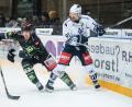 Bild: Andreas Klupp
Die Blue Devils Weiden (rechts Dennis Thielsch) gewannen am Freitag bei den Höchstadt Alligators (links Pavel Adveev) mit 3:1.