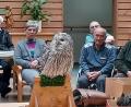 Bild: Vera Asberger/BRK-Seniorenzentrum Kemnath/exb
Die Heimbewohnerinnen und -bewohner genossen die Zusammenkunft mit Habichtskauz „Birke“.