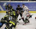Bild: Andreas Brückmann
Der ERSC Amberg fuhr zuletzt gegen den EHC Königsbrunn den achten Heimsieg in Serie ein. Gegen EA Schongau soll nun der nächste folgen. Das Bild zeigt Hunter Fortin beim Bully.