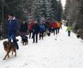 Bild: gis
Winterwandertag Ochsenkopf: Der Fichtelgebirgsverein Mehlmeisel bot wieder eine Hundewanderung an.
