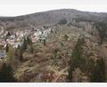 Archivbild: mmj
Vereinzelt sollen beim Hochfels wieder Bäume entfernt werden um den Lichteinfall für den Bodenbewuschs weiter zu fördern.