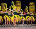 Bild: Kunz
Die Prinzengarde der Narrhalla Windischeschenbach zeigt ihre Tänze beim ADAC-Ball.