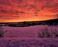Bild: Erika Vagner
Ein roter Sonnenaufgang, fotografiert von Erika Vagner.