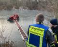 Bild: FF Schwarzenfeld/Fleischmann/exb
Die entscheidenden Momente am Montag Nachmittag: Die Retter der Wasserwacht bereiten sich vor, dem Reh eine Decke überzuwerfen, um es danach in die Schleifkorbtrage zu legen. Wichtig bei dem Einsatz ist die Steckleiter aus dem Löschfahrzeug.