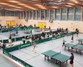 Bild: blg
Reger Spielbetrieb herrschte in der neuen Dreifachturnhalle der Realschule in Amberg beim ersten dort vom TV Amberg ausgetragenen Tischtennisturnier. Spieler und Betreuer zeigten sich sehr angetan von dem tollen Ambiente.