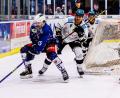 Archivbild: Werner Moller
Steffen Tölzer (rechts, Szene aus der Partie in Weiden) hat den insolventen Eishockey-Oberligisten Bayreuth Tigers schon in Richtung Rosenheim verlassen. Nun bietet sich den Oberfranken ein Investor als Retter an.