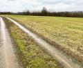 Bild: Gabi Schönberger
Auf dieser Wiese oberhalb des Breiten Wegs in Neustadt will die Zeno GmbH einen Solarpark auf 3,5 Hektar errichten. Auch auf dem benachbarten Feld stehen bereits Solarpaneele.