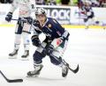 Bild: Kim Enderle
Noah Dunham steht beim DEL-Klub ERC Ingolstadt unter Vertrag, läuft aber per Förderlizenz auch für den Zweitligisten Ravensburg Towerstars (im Bild) auf.
