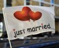 Bild: Uwe Zucchi/dpa
„Just married...“ (frisch verheiratet) steht auf einer wehenden Fahne, die an einem Autofenster festgemacht ist.
