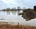 Bild: Gabi Schönberger
Hochwasser bei Neustadt/WN.
