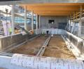 Bild: Petra Hartl
Hier wird einmal ein 25-Meter-Schwimmbecken mit vier Bahnen sein. Es ist Teil des neuen Konzepts von Gut Matheshof in Kreuth bei Rieden.