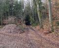 Bild: ge
Südlich von Ödhaag verläuft dieser Waldweg in Richtung Lauterhofen. Er soll nun zum Radweg ausgebaut werden.