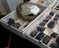 Bild: Geo-Zentrum an der KTB/exb
Auch neue Mineralien und Fossilien werden immer wieder gefunden.