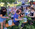 Archivbild: no
Das Hopfenzupfen Anfang September ist regelmäßig ein Höhepunkt im Jahresprogramm des Gartenbauvereins Illschwang.