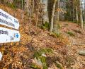 Bild: Thomas Geißler/fph
Die richtige Beschilderung ist ein Qualitätsmerkmal für eine Wanderregion.