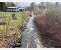 Bild: nza
Bei der Renaturierung werden unter anderem der Gewässerlauf des Grenzbachs und die Bepflanzung neugestaltet. Dadurch soll der Grenzbach am Erlenweiher ökologisch aufgewertet werden.