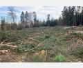 Bild: Bürgerinitiative Brand/exb
Im Raum Regensburg lässt Tennet bereits für den Süd-Ost-Link eine Trasse durch den Wald schlagen.