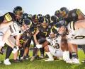Bild: Michael Sandner/exb
Die Amberg Mad Bulldogs stecken schon mitten in der Vorbereitung auf die neue Saison.