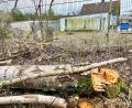Bild: Gabi Schönberger
Die ersten Bäume sind gefällt. Direkt neben dem alten Weidener Tierheim (Hintergrund) entsteht nun ein neues Zuhause für heimatlose Tiere aus Weiden und dem Landkreis Neustadt. Läuft alles nach Plan, soll es der Neubau schon in einem Jahr fertig sein.
